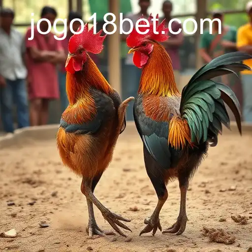 The Complex World of Cockfighting and Its Betting Culture